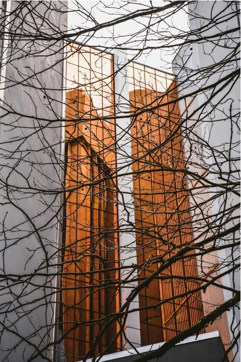 Une scène d'actualité